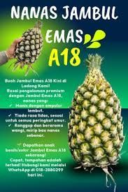 nenas jambul emas