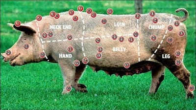 890) REZEKI YANG TERCEMAR: KESAN PENGAMBILAN UNSUR BABI TERHADAP IBADAH - PPIM - 16/10/2025