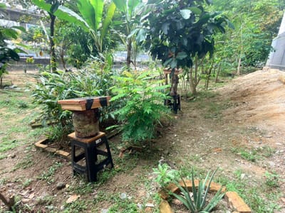 926) AKTIVITI | KEBUN BANDAR VILLA PUTERI - PPIM - 29/11/2025