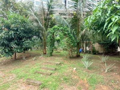 967) AKTIVITI | SIRI MINGGU KE-31: BERKEBUN DI KEBUN BANDAR VILLA PUTERI – PPIM - 27/12/2025