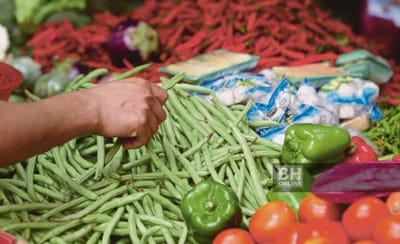 1090) HARGA SAYURAN DIJANGKA NAIK, MUNGKIN CECAH 50 PERATUS - PERSATUAN PEKEBUN - BERITA HARIAN - 23/03/2026