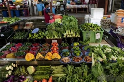 1097) PERSATUAN PEKEBUN: HARGA SAYUR DI M'SIA DIJANGKA MENINGKAT SUSULAN LONJAKAN KOS PENGELUARAN - BERITA HARIAN SINGAPURA - 24/03/2026