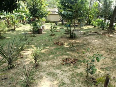 1266) AKTIVITI | SIRI MINGGU KE-64: BERKEBUN DI KEBUN BANDAR VILLA PUTERI – PPIM - 08/08/2026
