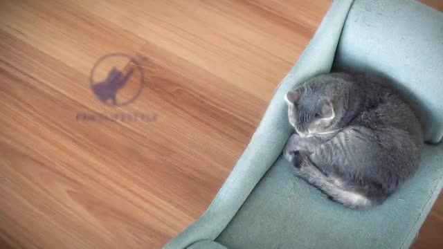 Single Video thumbnail