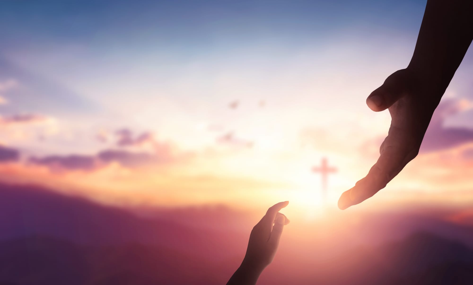 The Master’s Favor, Prosperity and Joy