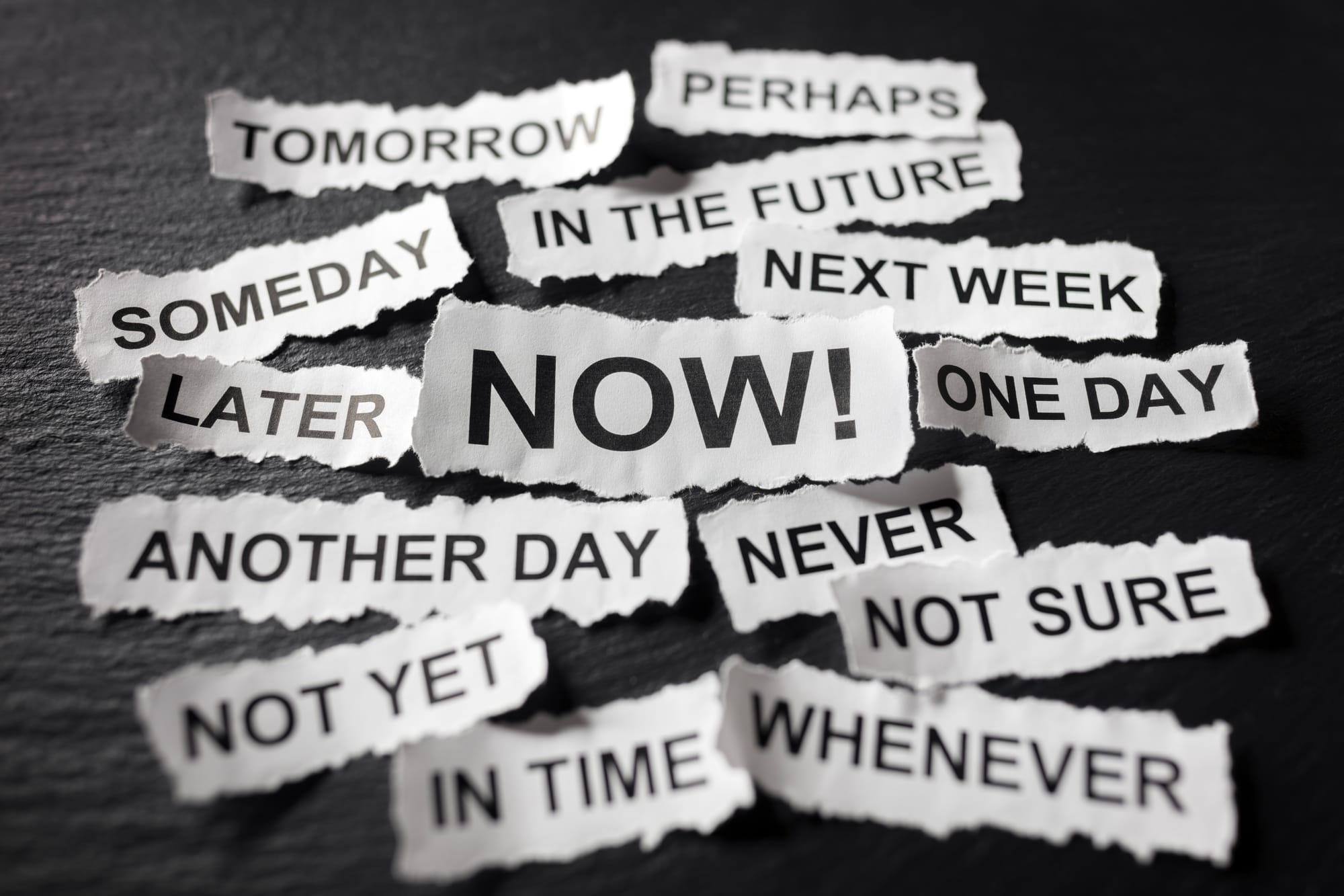 Living For The Moment