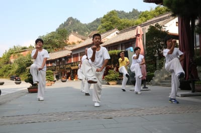 Campus Virtual de Kungfu Interno image