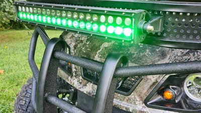 Can Deer See Green Light?