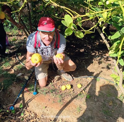 Vallée des Cédrats