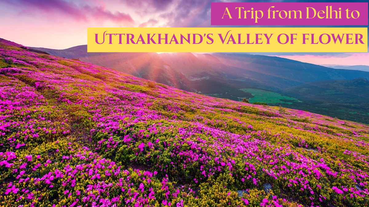 A Trip from Delhi to Uttrakhand's Valley of Flower