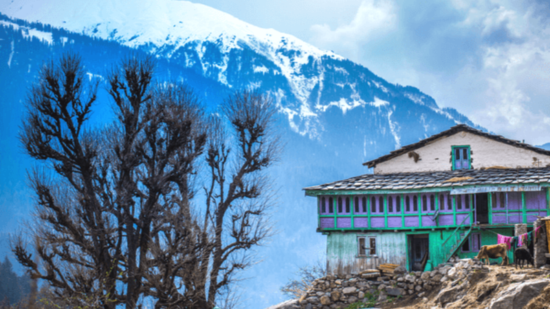 Himachal Tour Packages