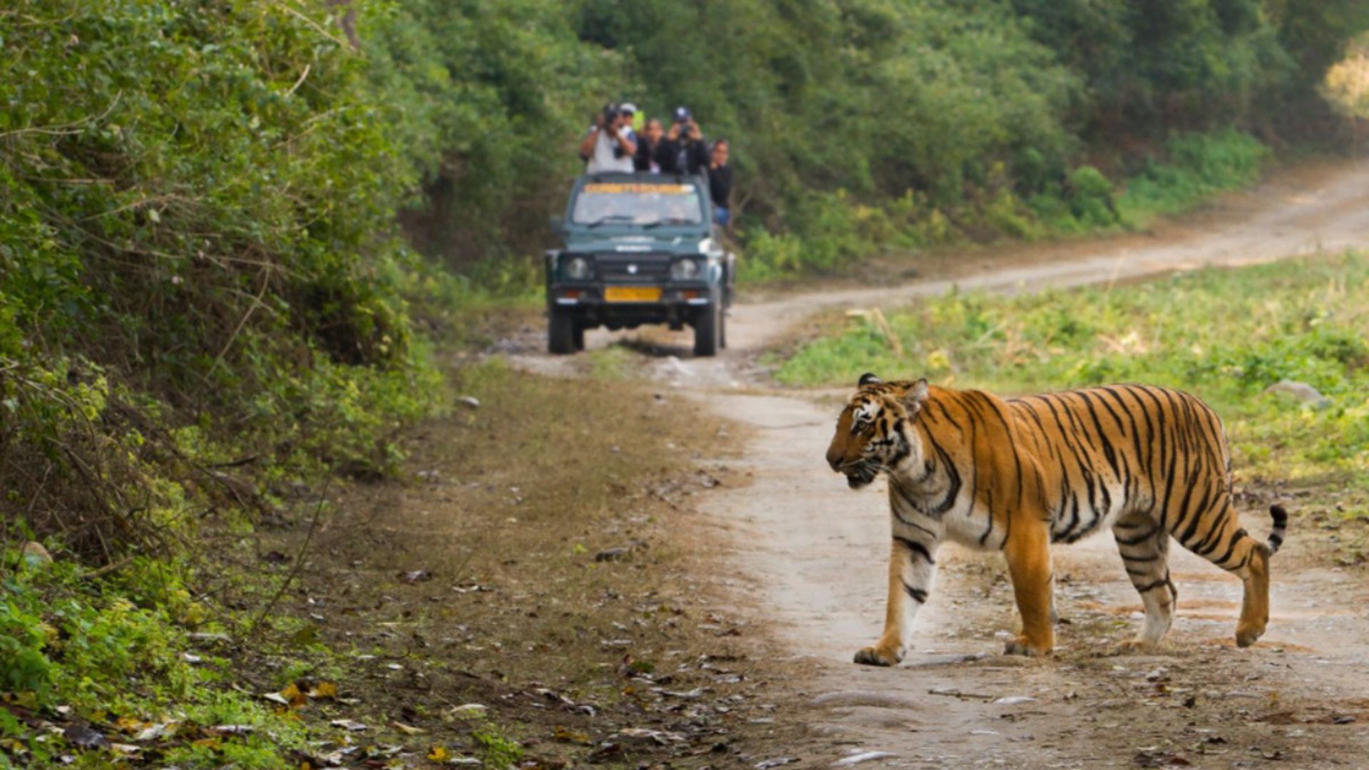 Jim Corbett