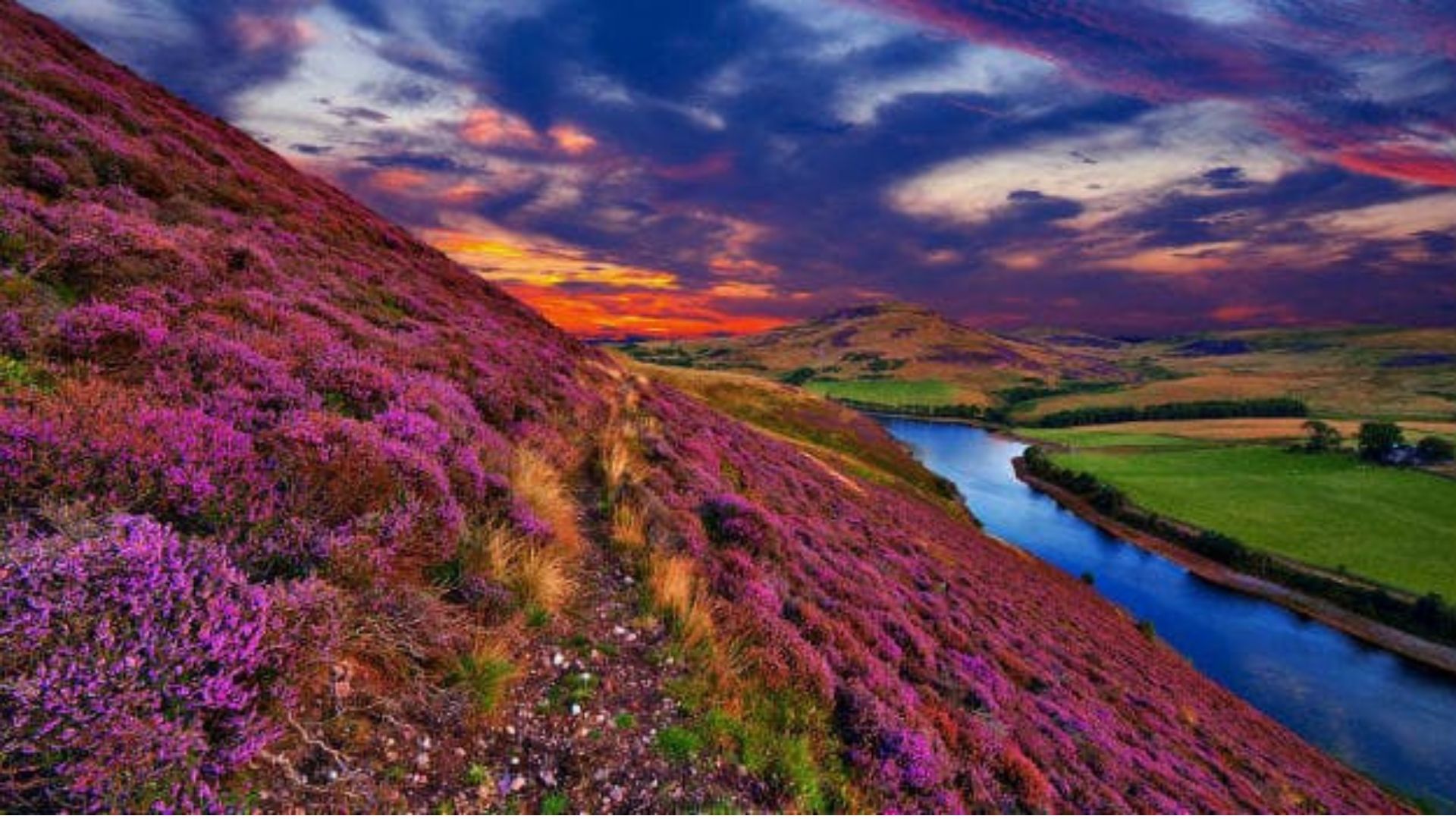 Valley of Flowers