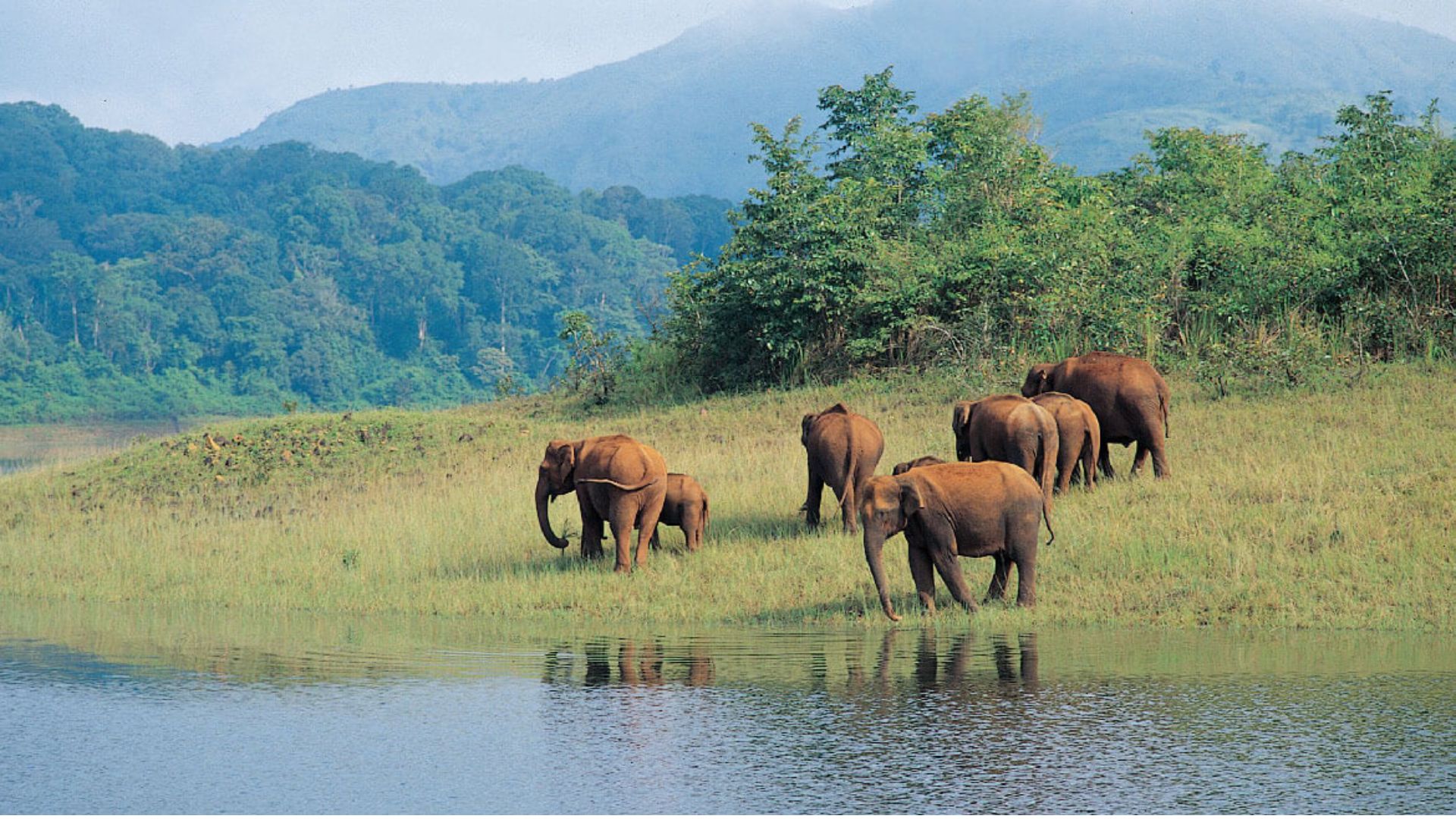 Dachigam National Park