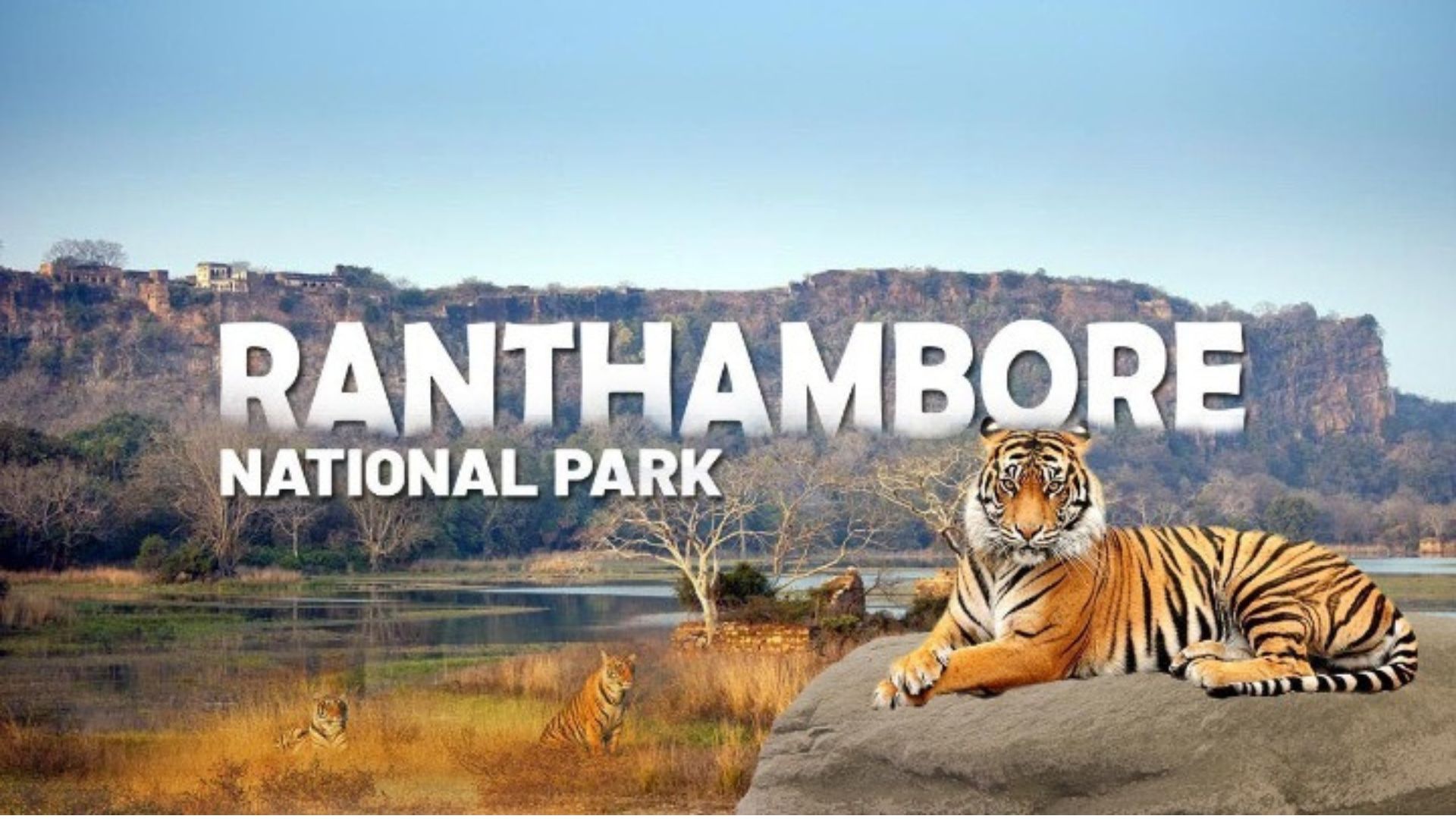 Ranthambore National Park