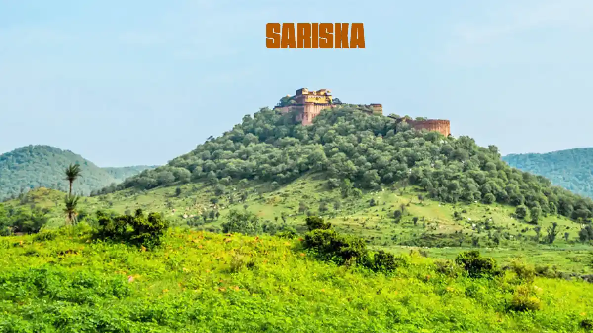 Sariska