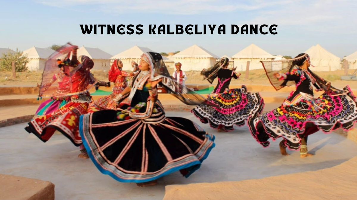 Witness Kalbeliya Dance