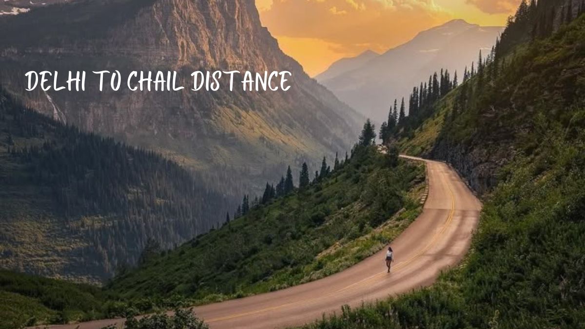 Delhi to Chail Distance