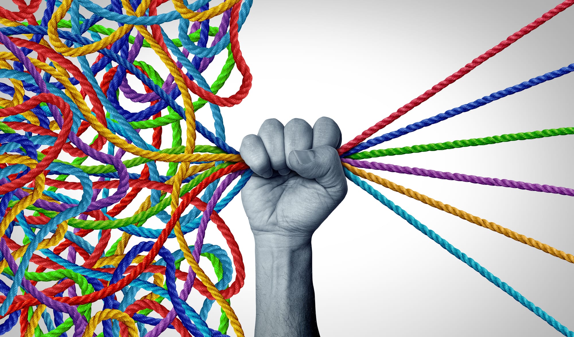 מגמת מנהיגות ויזמות