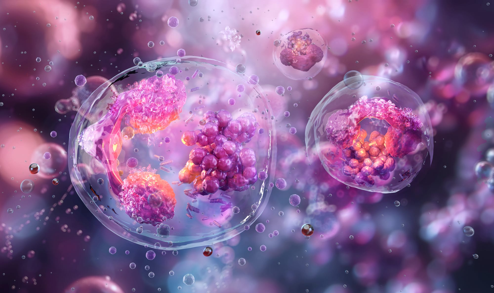 מגמת ביולוגיה