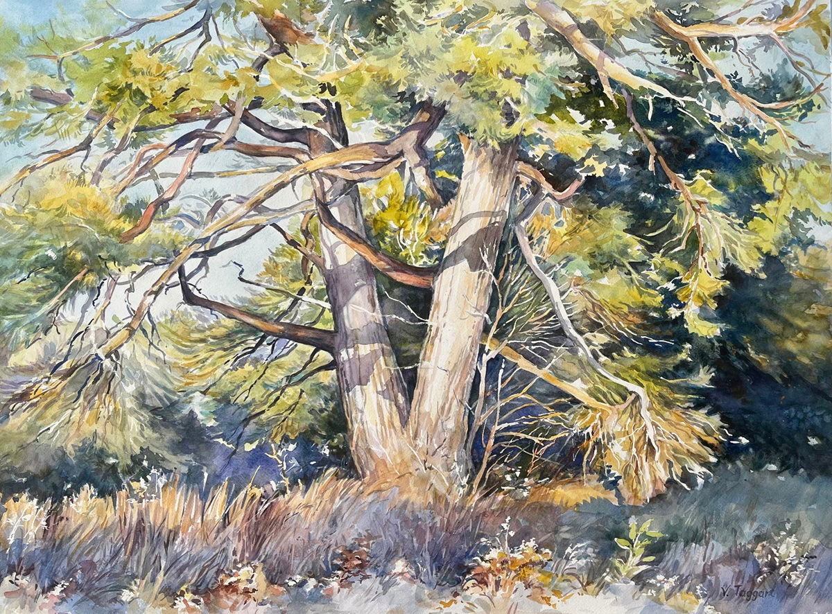 Third Prize Award - Valerie Taggart