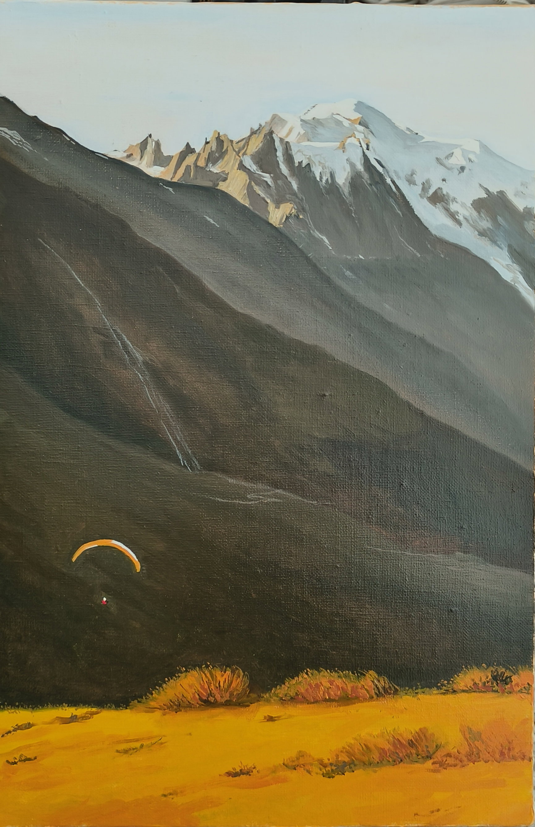 Vol matinal à Chamonix