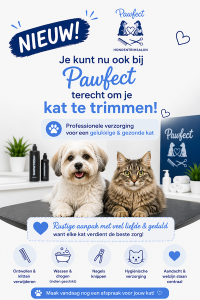 Nieuw! Katten trimmen image