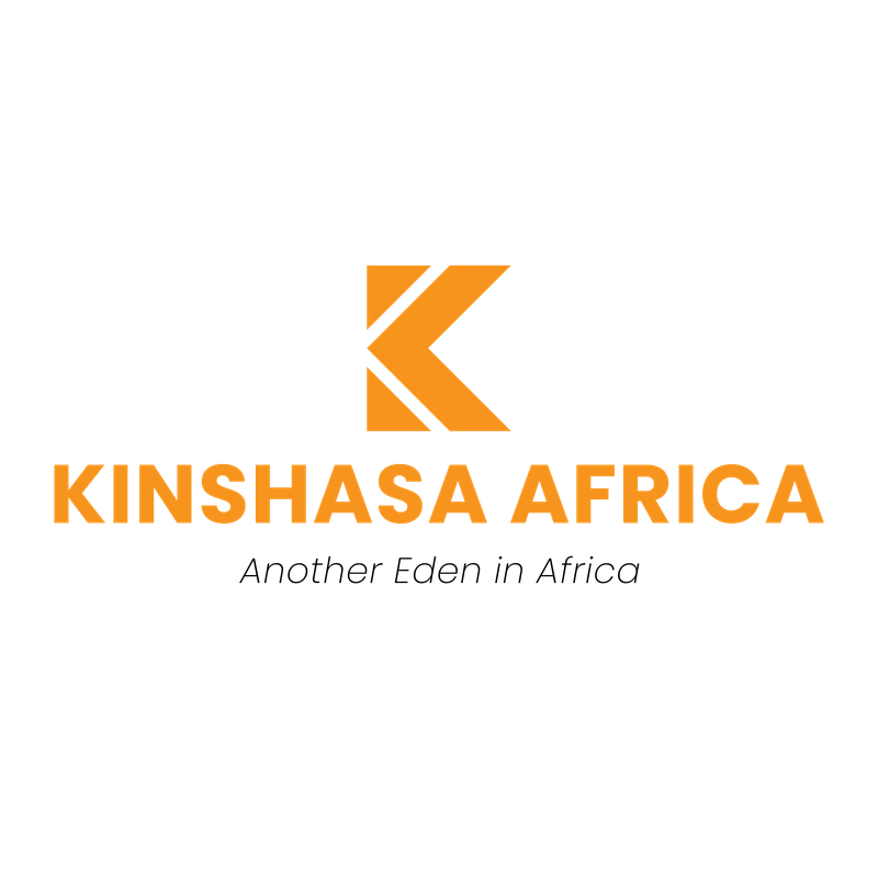 Client: Orbit Africa Properties