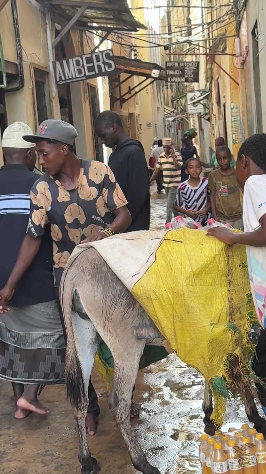 Lamu Island Photography Journey
