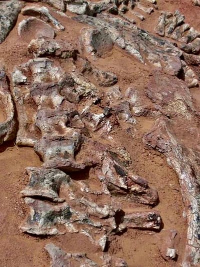 Sleeping Giants of the Sahara