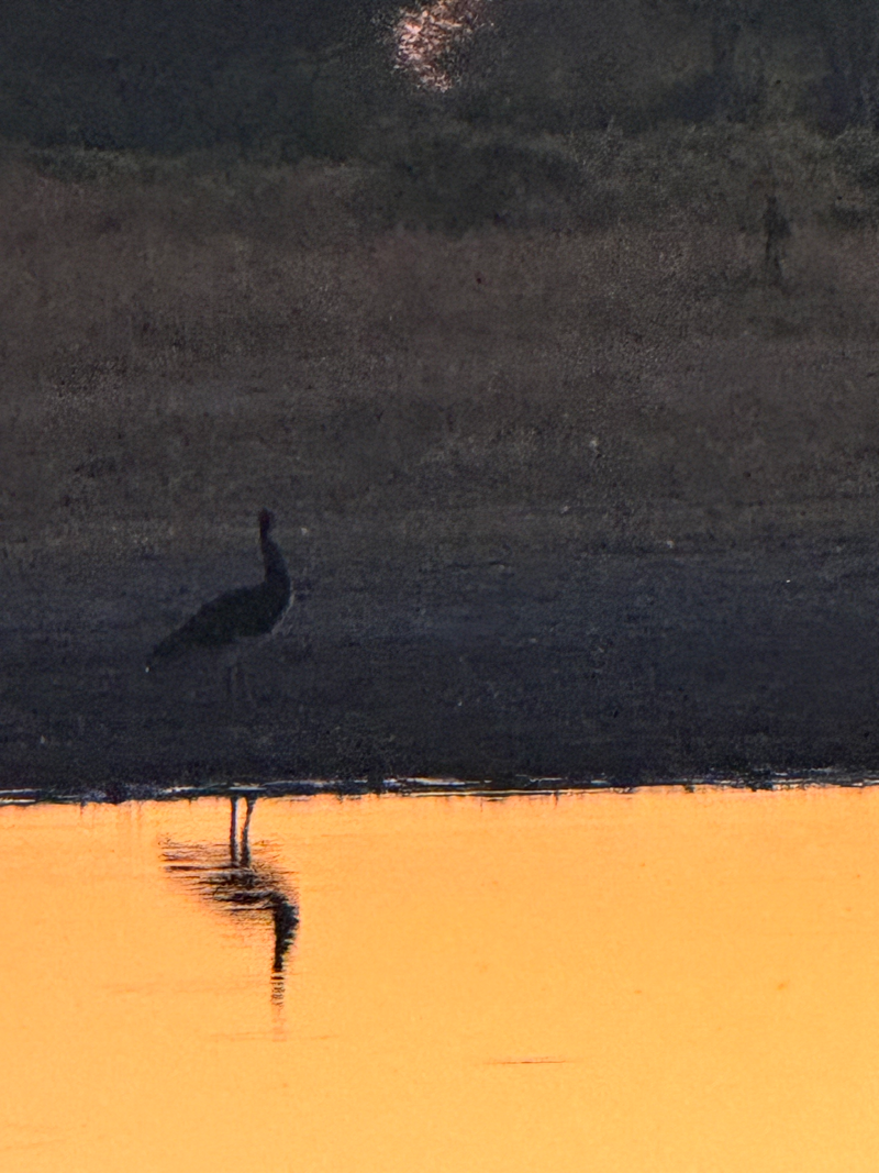 Landscapes  — Distant Horizons