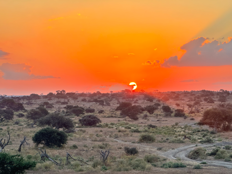 Landscapes  — Distant Horizons