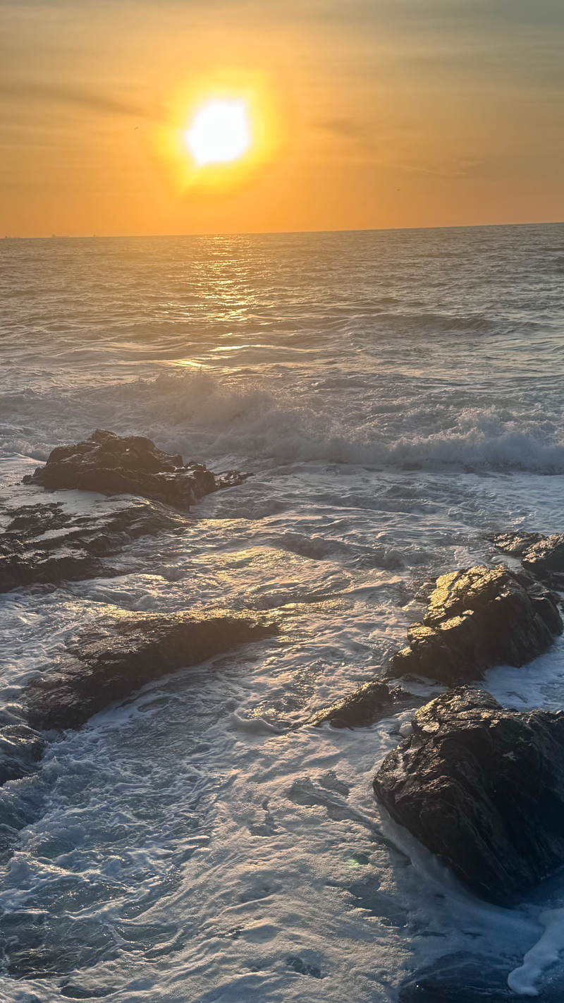 Landscapes  — Distant Horizons