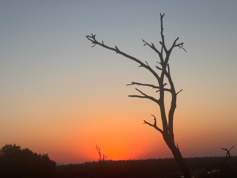 Landscapes  — Distant Horizons