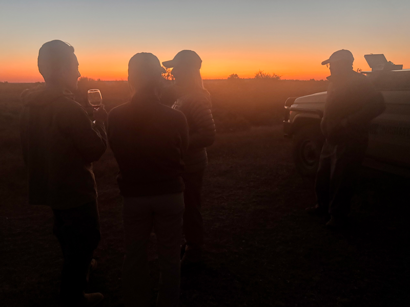 Landscapes  — Distant Horizons