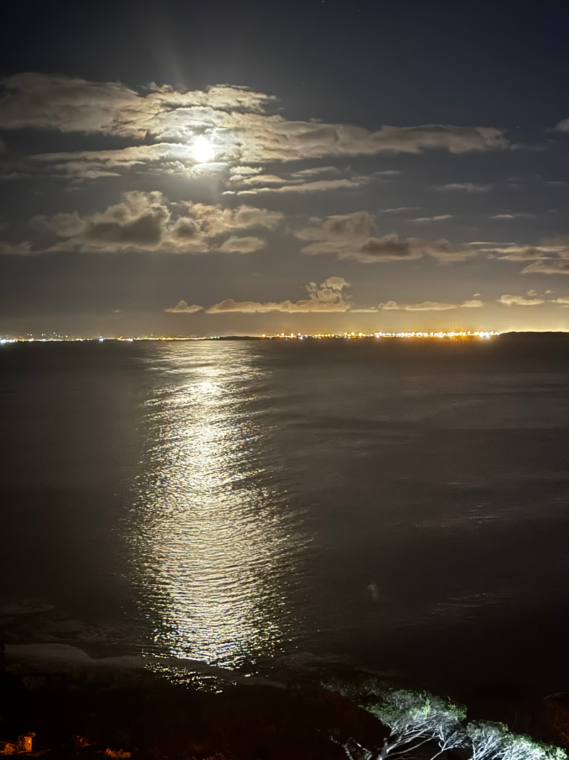 Landscapes  — Distant Horizons