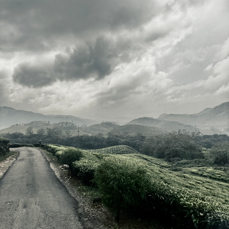 Landscapes  — Distant Horizons