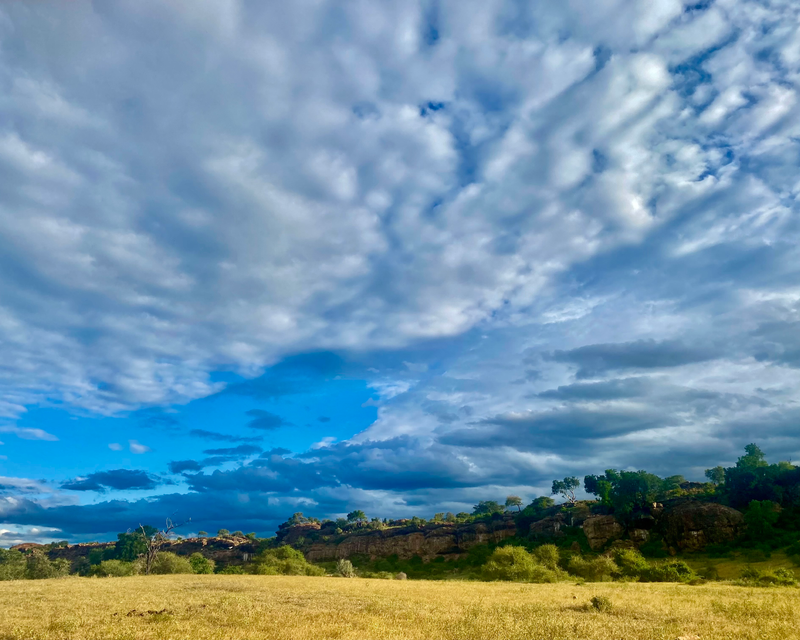 Landscapes  — Distant Horizons