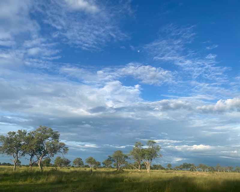 Landscapes  — Distant Horizons