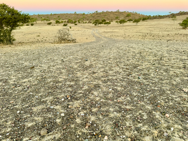 Landscapes  — Distant Horizons