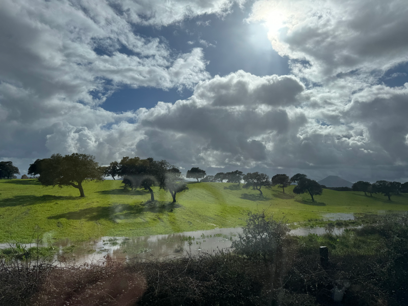 Landscapes  — Distant Horizons