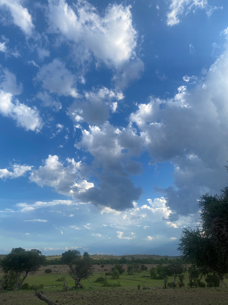 Landscapes  — Distant Horizons