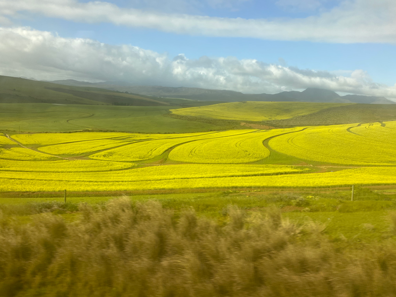 Landscapes  — Distant Horizons