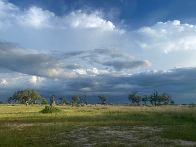 Landscapes  — Distant Horizons