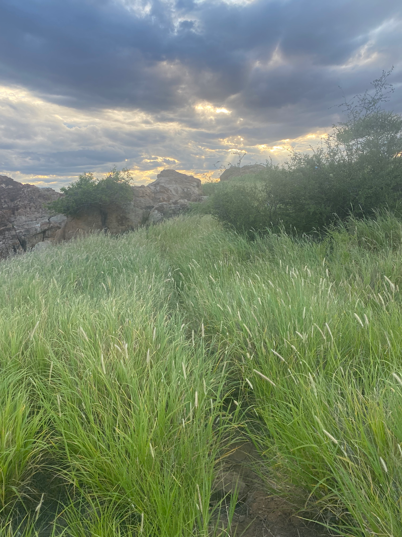 Landscapes  — Distant Horizons