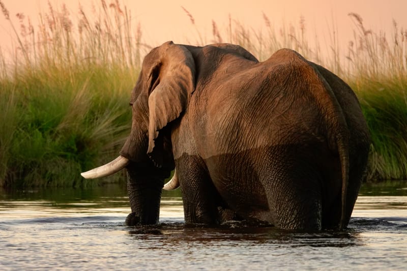 Expedition Leadership and Photography