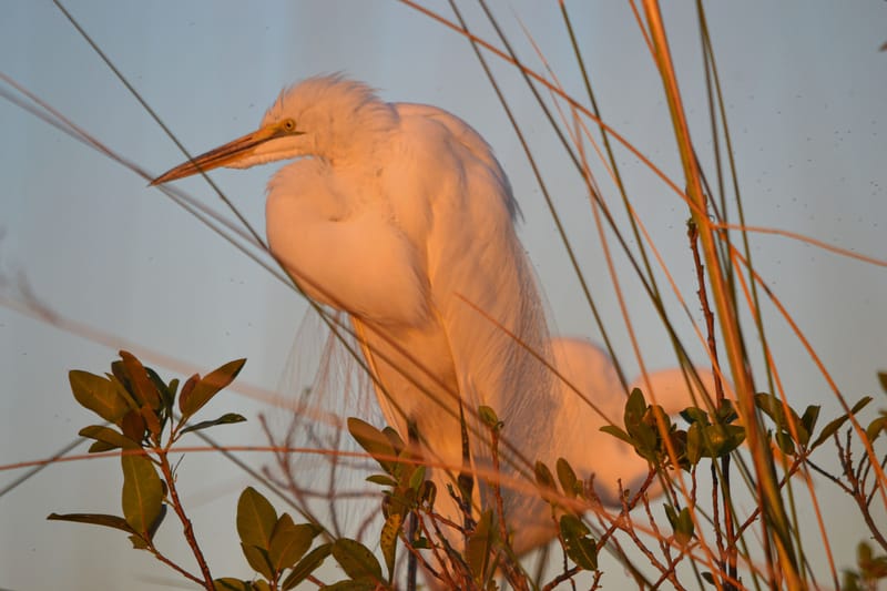 Okavango Delta Expedition 