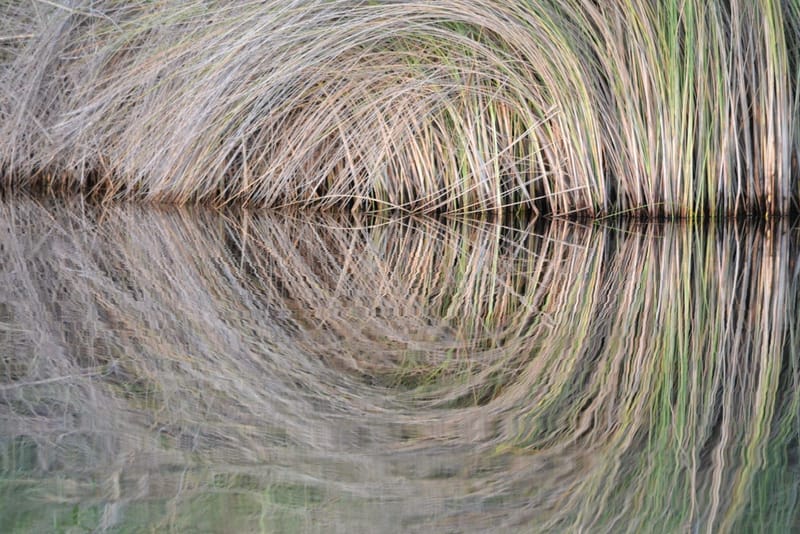 Okavango Delta Expedition 