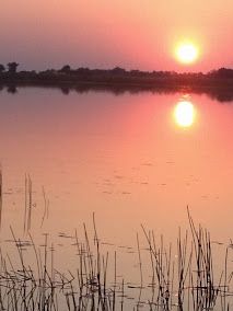 Okavango Delta Women’s Expedition