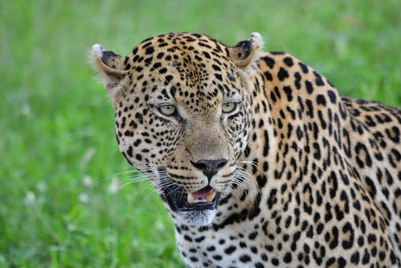 Okavango Delta Expedition 